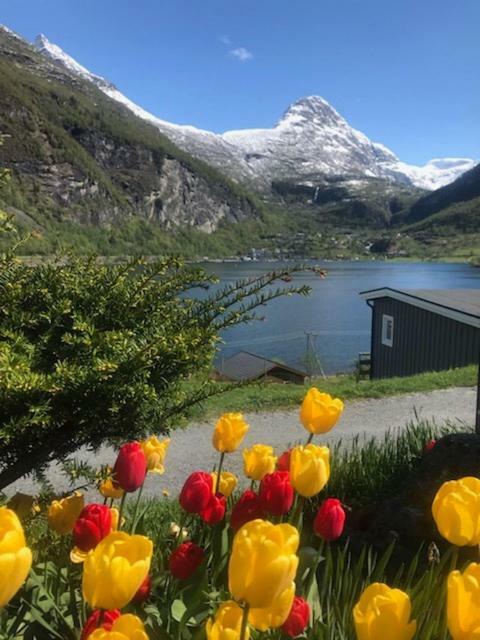 Solhaug Fjordcamping ไกรังเงร์ ภายนอก รูปภาพ